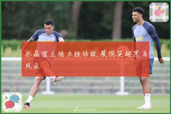 水晶宫主场力挫劲敌 展现英超黑马风采