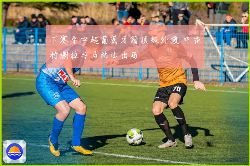 下赛季中超葡萄牙籍顶级外援 申花特谢拉与马纳法出局