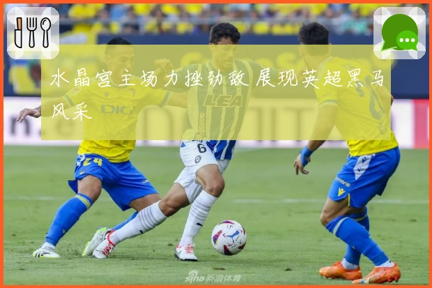 水晶宫主场力挫劲敌 展现英超黑马风采