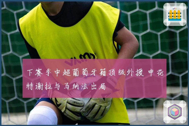 下赛季中超葡萄牙籍顶级外援 申花特谢拉与马纳法出局